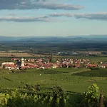 Hotel A La Vignette - Colmar-nord Saint-Hippolyte (Haut-Rhin)