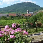 Hotel A La Vignette - Colmar-nord 3*