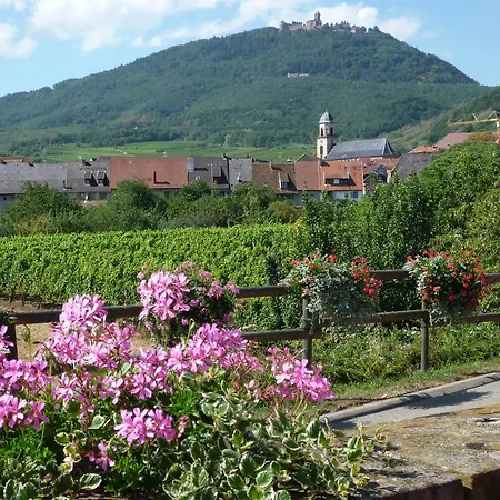 فندق A La Vignette - Colmar-nord 3*