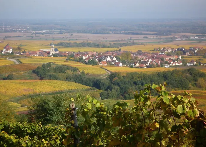Restaurant A La Vignette Hotel Saint-Hippolyte (Haut-Rhin)