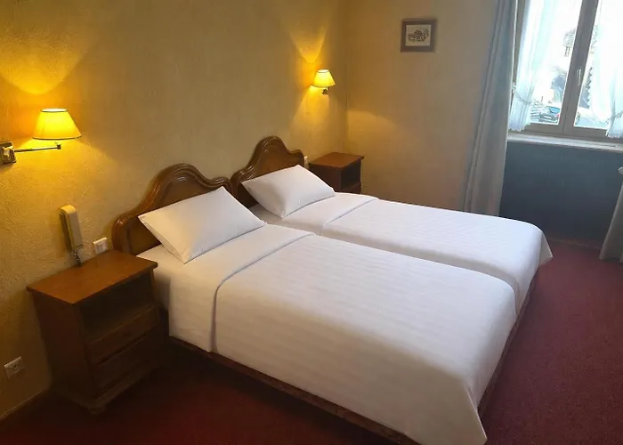 Hotel A La Vignette - Colmar-nord