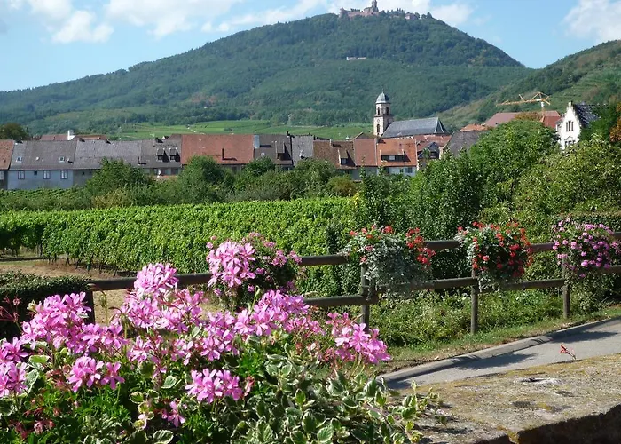 Hotel A La Vignette - Colmar-nord 3*