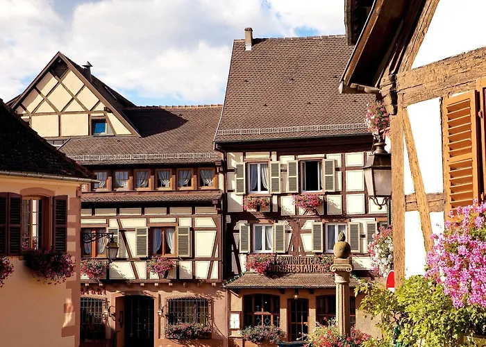 Hotel A La Vignette - Colmar-nord