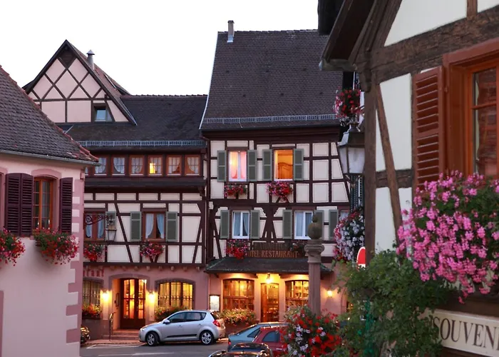 A La Vignette - Colmar-nord Hotel