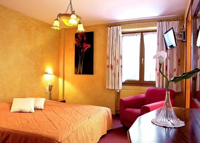 Hotel A La Vignette - Colmar-nord